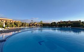 Palmeraie vue piscine 3